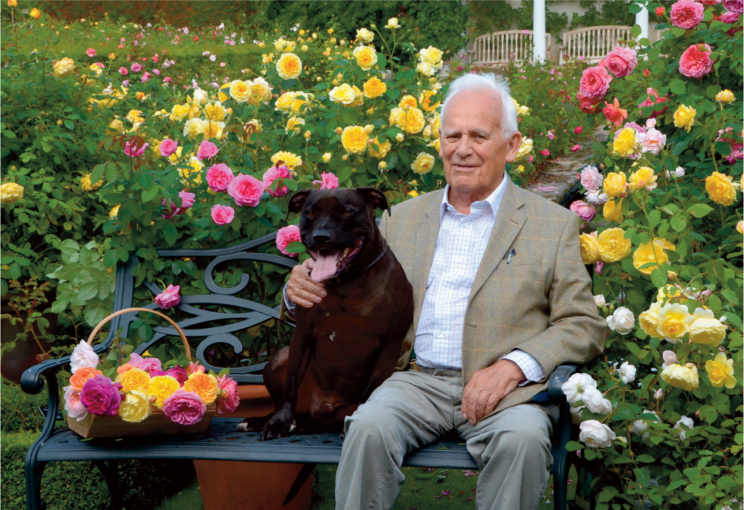 顏值暴擊！史上最全大衛(wèi)奧斯汀歐月指南