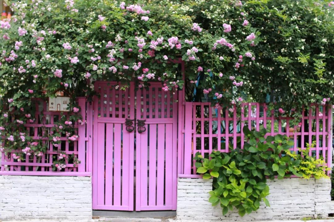 “寵妻狂魔”打造全手工花園，順手開創(chuàng)無數(shù)網(wǎng)紅爆款···