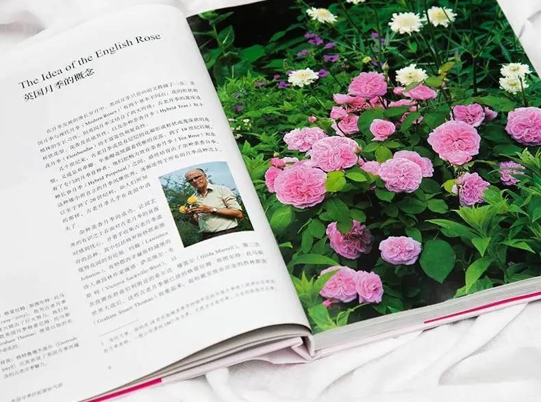 首發(fā)出版！這本大衛(wèi)奧斯汀親筆的“玫瑰圣經(jīng)”終于引進(jìn)了