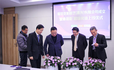 官宣 | 坂田花彩園藝（嘉興）有限公司成立，桑蓓斯新品首發(fā)上線！