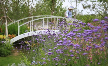 第10屆花博會，虹越喜獲11項(xiàng)大獎！