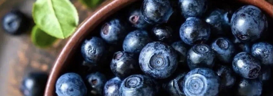 想要從0開始學(xué)種藍(lán)莓？這份“大神指南”送給你~