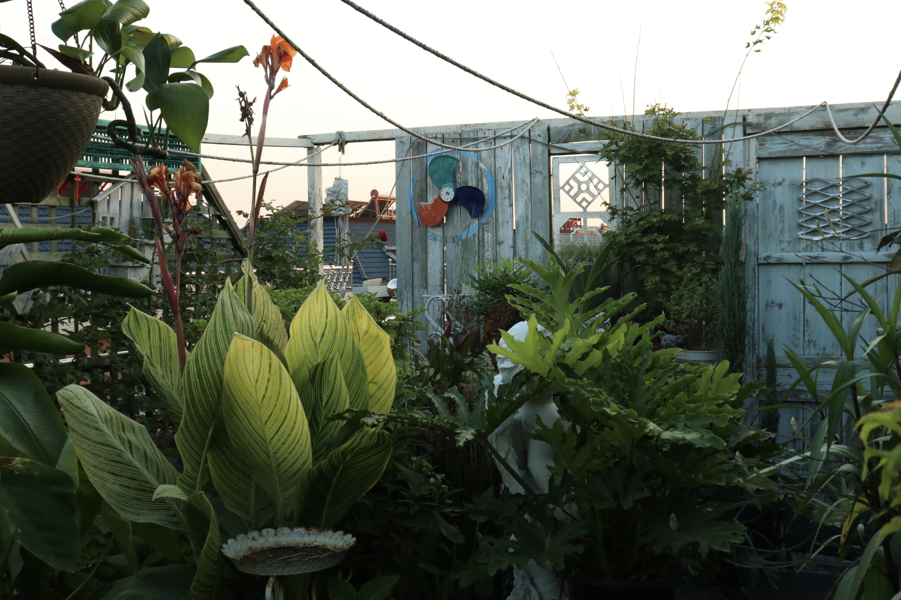 0元爆改水泥天臺(tái)，高手竟在我身邊？！