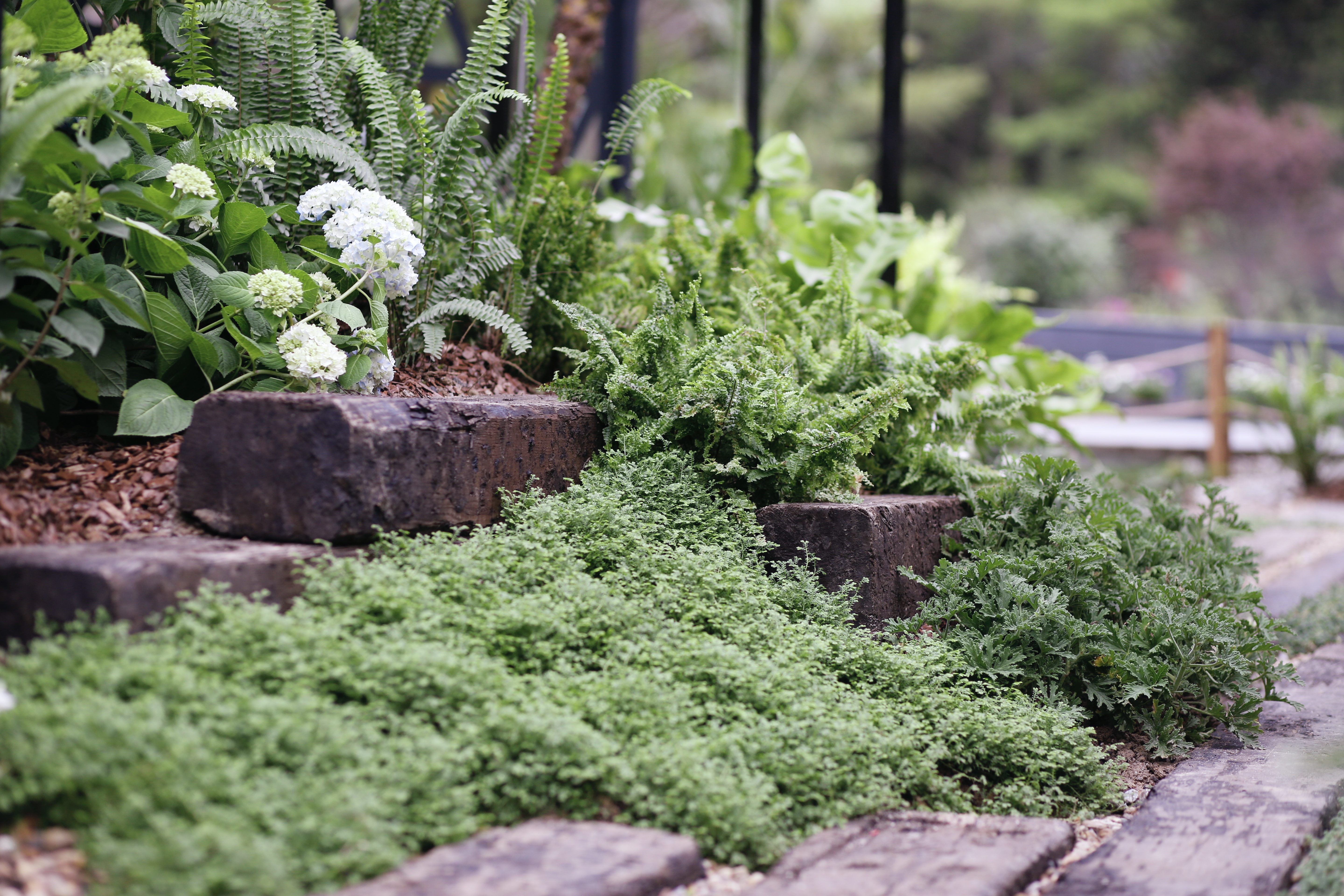 8座刷爆朋友圈的國(guó)際設(shè)計(jì)師花園，打開(kāi)生活新方式！