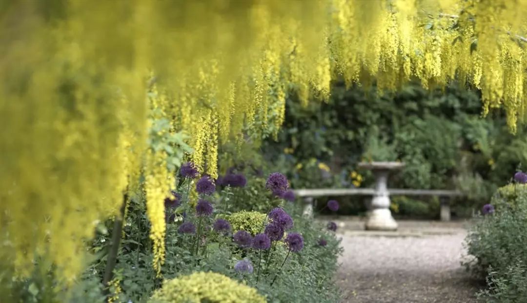 他為妻子打造最美坡地花園，驚艷世界80年