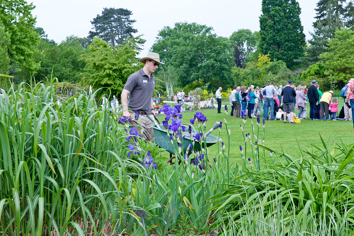 一年一度清園季！學(xué)會這波操作，病蟲統(tǒng)統(tǒng)不見~