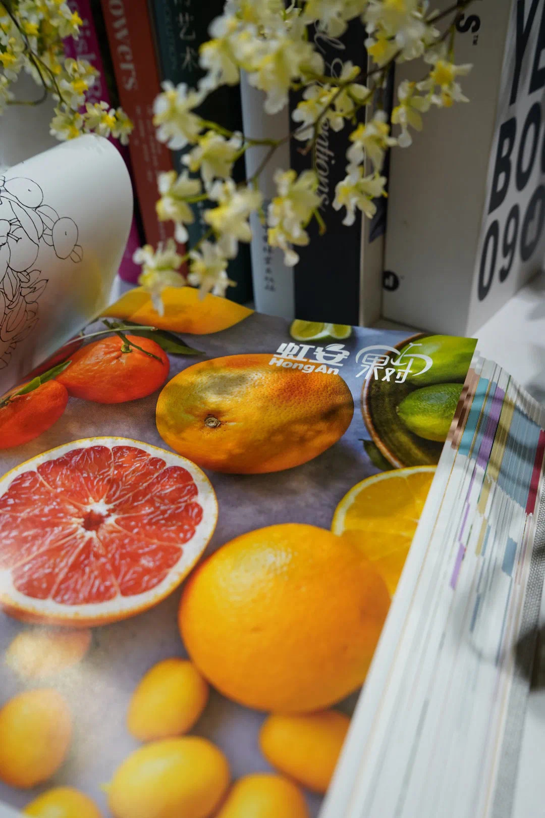 1610011587649189.jpeg WechatIMG609.jpeg