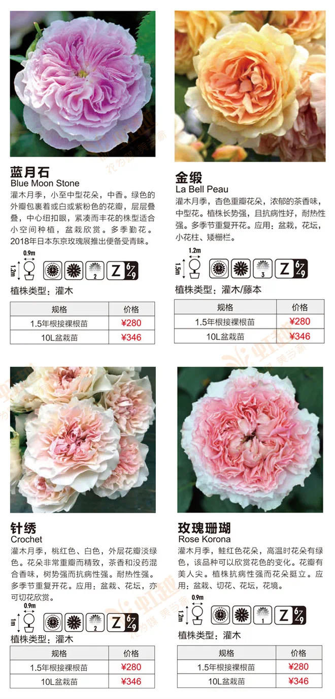 1610011621897562.jpeg WechatIMG610.jpeg