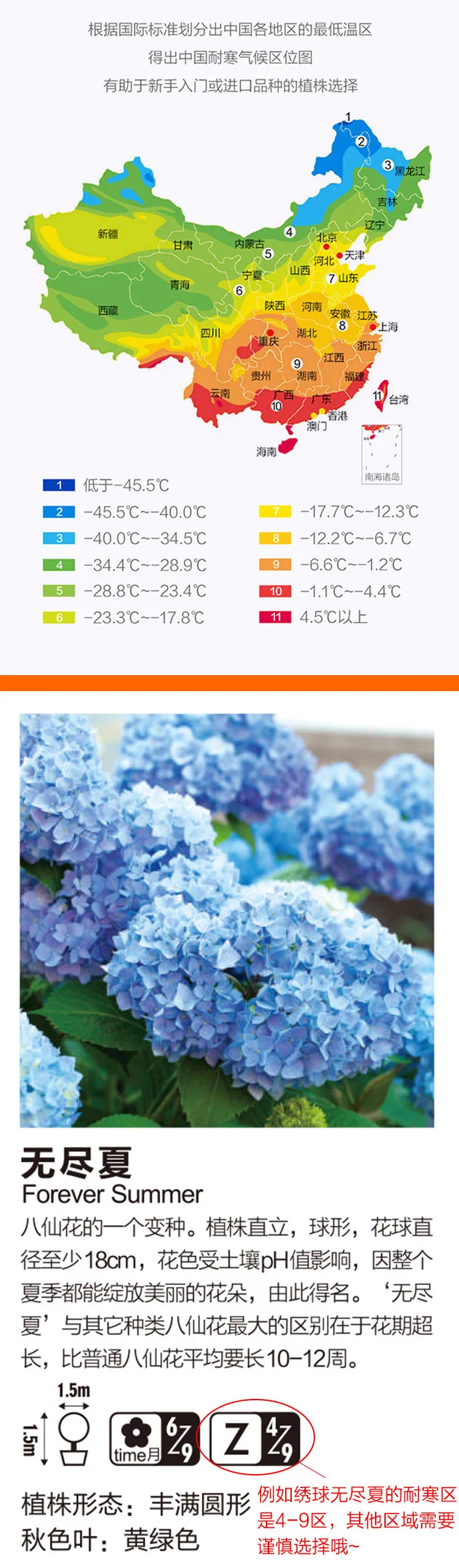 1610011678113477.jpeg WechatIMG612.jpeg